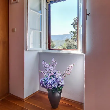 Casa vacanze Seaside House With A Swimming Pool Osor, Losinj - 12230